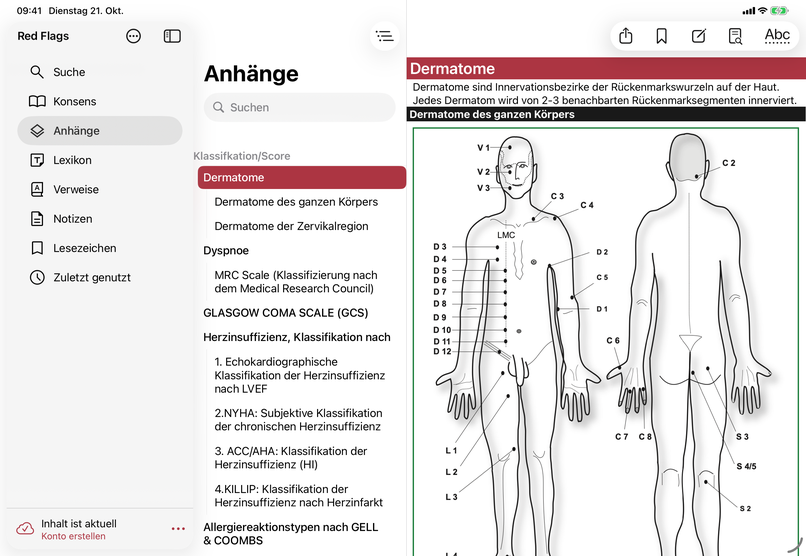 Digital screenshot on iPad
