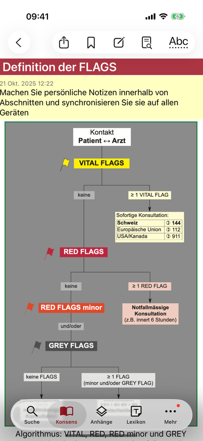 Synchronisieren von Notizen screenshot on iPhone